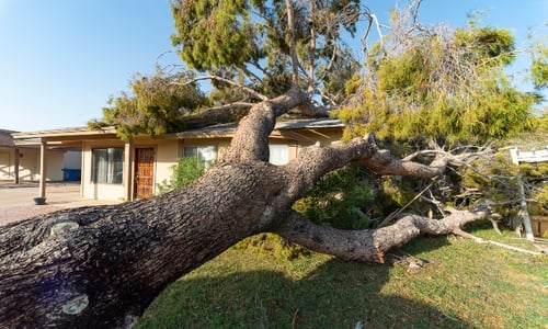 Best Ways to Protect Your Real Estate Investment from Natural Disaster