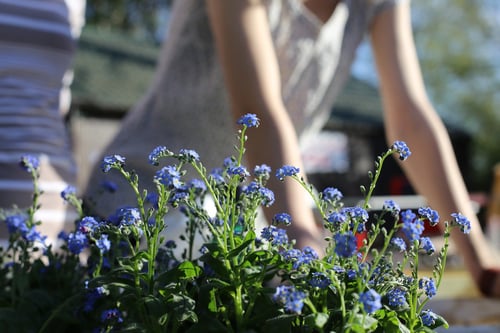Landlord Tip: How to Get Your Property Summer Renter Ready